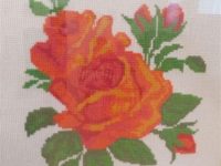 IMG_20200205_101624