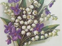 IMG_20200226_100141