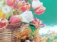 IMG_20200226_110827