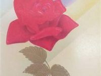 IMG_20200226_110855