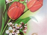 IMG_20200226_110938