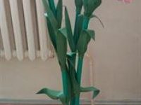 IMG_20200314_104130