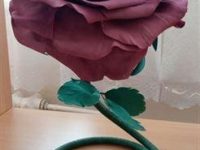 IMG_20200314_104212