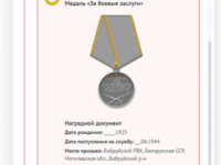 Медаль за боевые заслуги