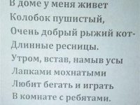 Горшкова Ангелина, 11 лет1