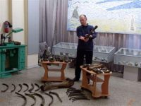 Позвонок бизона