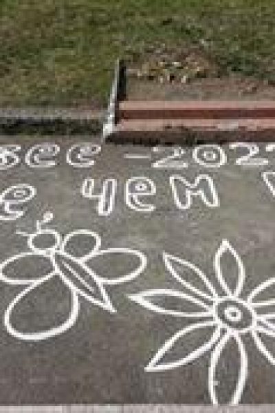 Музейная студия Палитра