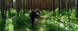 По маршруту по Комсомольскому парку