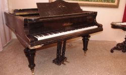 IMGP9860