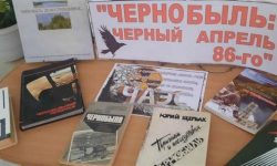 Ваставка книг