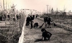 Уборка парка