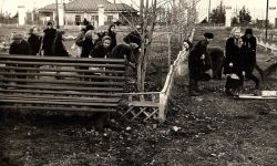 Уборка парка