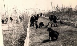 Уборка парка