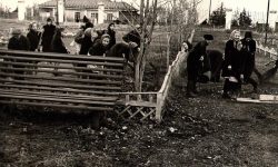 Уборка парка