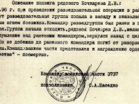 Описание подвига Дмитрия Бочкарёва