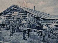 Сборы старателей на добычу платины