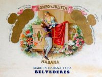 внутренняя часть хьюмидора