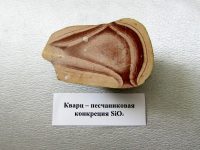 кварц – песчаниковая конкреция