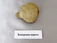 конкреция пирита