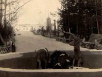 парк угольщиков, декабрь 1950 года