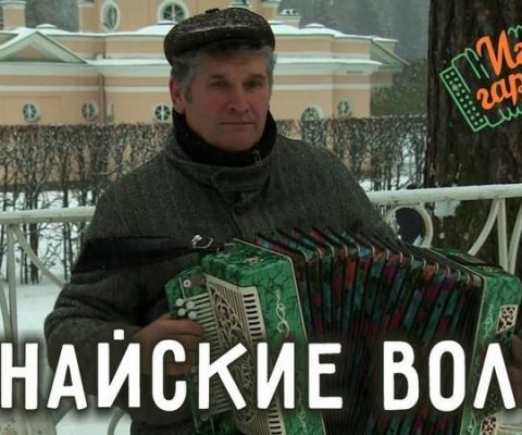 Играй гармонь Дунайские волны. Н.Н. Сергеенко