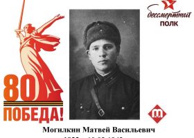 Могилкин Матвей Васильевич