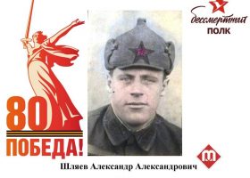 Шляев Александр Александрович