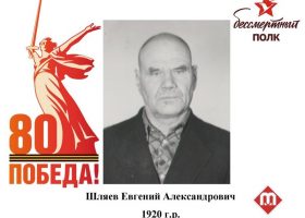 Шляев Евгений Александрович