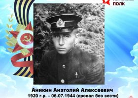Аникин Анатолий Алексеевич
