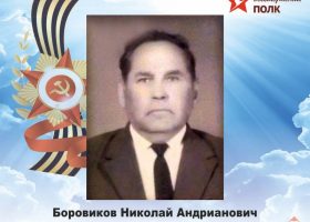 Боровиков Николай Андрианович