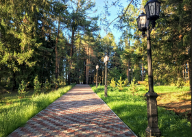 парк ДКУ Вековые сосны, автор фото Александр Александров